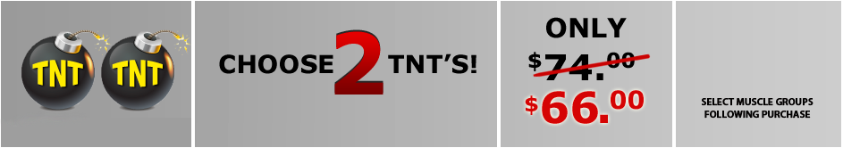 TNT-2