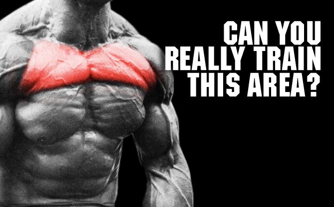 Upper Chest and Pec Isolation â€“ IS IT POSSIBLE?
