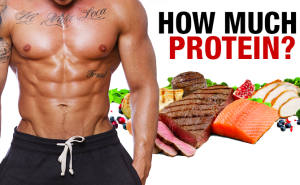 how-much-protein-absorption-at-each-meal-yt