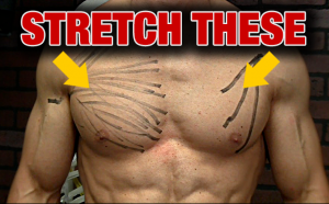 how-to-stretch-your-chest-pec-major-minor-yt