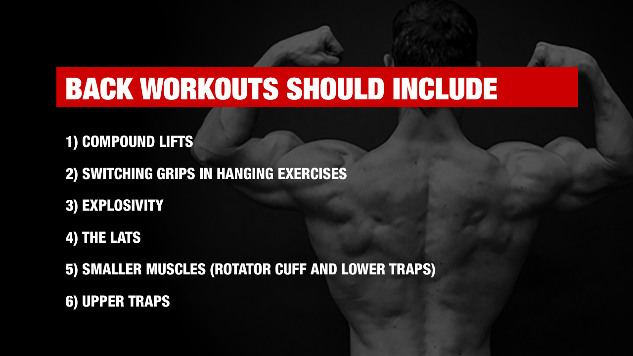 Back Workouts Best Exercises For Muscle And Strength