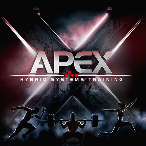 APEX: Hybrid Systems Training