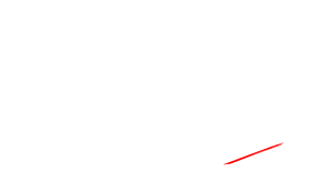 ONE PAYMENT OF $299 ONE PAYMENT OF $299