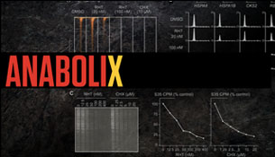 Anabolix