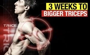 3 weeks to bigger triceps