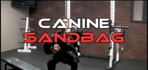canine sandbag workout