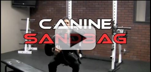 the canine sandbag workout