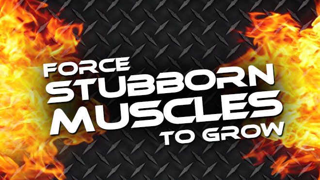 TARGETED MUSCLE GROUP TRAINING – FORCE STUBBORN MUSCLES TO GROW!