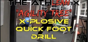 agility tree fast foot drill
