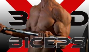 3 dimensional biceps