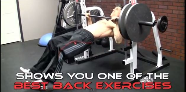 My top 3 Favorite Back Exercises!!!