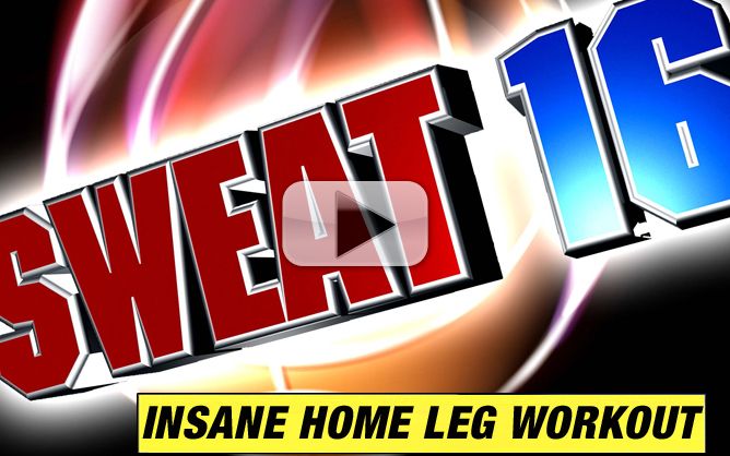 Insane home fat loss hot sale