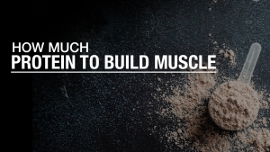 how much protein to build muscle