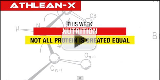 not all protein is created equal