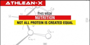protein amount and type