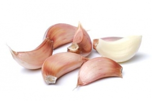 garlic immunity