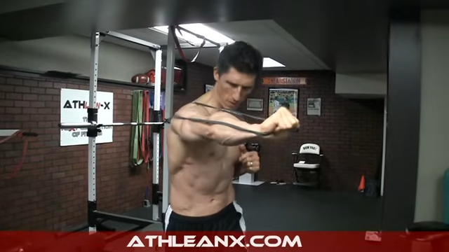 Best Serratus Anterior Exercises