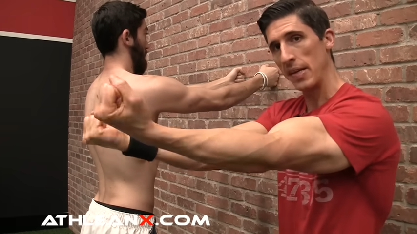 Best Serratus Anterior Exercises