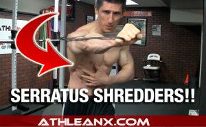 Serratus 2025 muscle workout