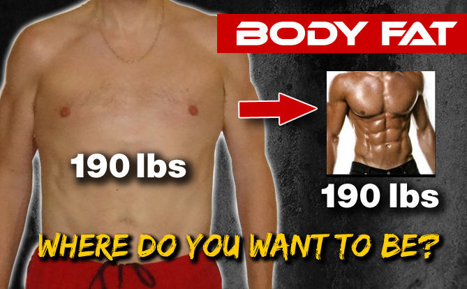 body fat percentages