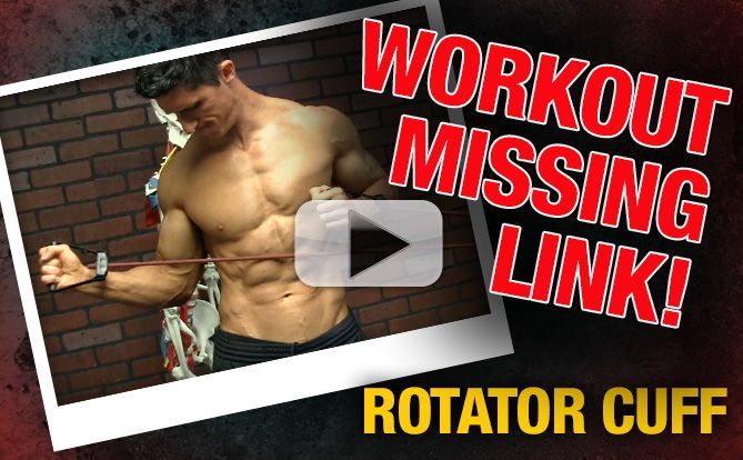 Rotator cuff best sale exercises bodybuilding