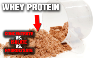 whey-protein-differences-yt
