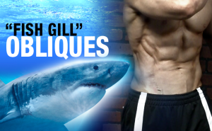 how-to-get-shredded-obliques-gills-one-exercise-yt