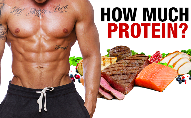 How Much Protein Is Too Much When Working Out?