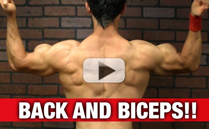 back-and-biceps-workout-yt-pl