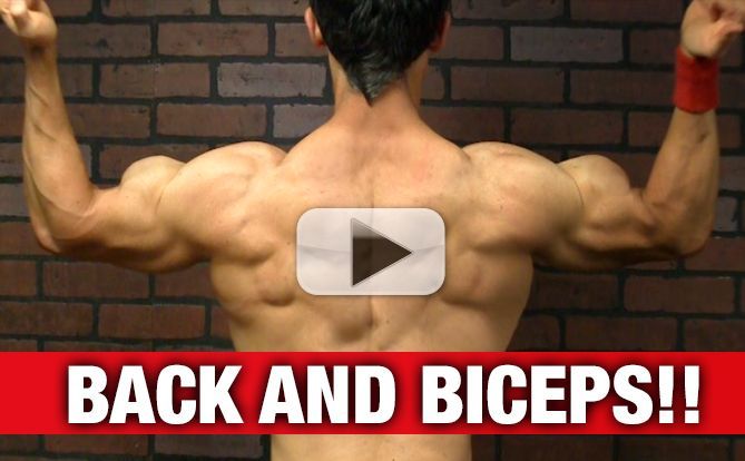 Back And Biceps Workout With Resistance Bands