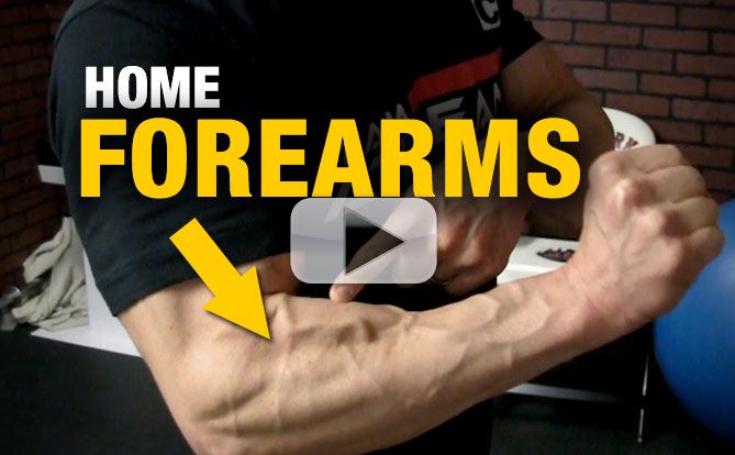 Home Forearm Exercises RIPPED FOREARMS WITH A CHAIR ATHLEAN X