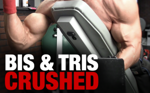 fastest-arm-workout-biceps-and-triceps-yt