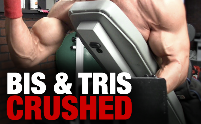 Bis and tris  Tricep workout women, Bicep and tricep workout, Gym workout  plan for women