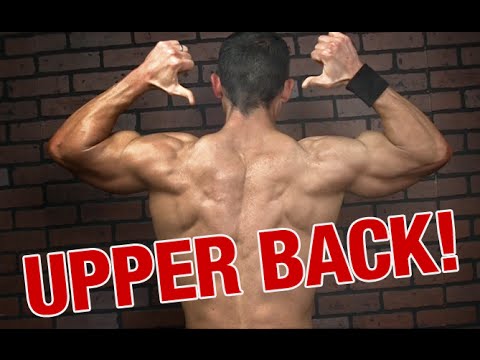 exercises for upper back