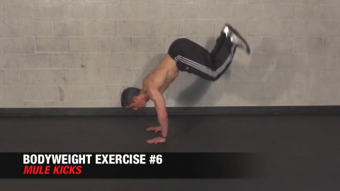 mule kicks bodyweight exercise