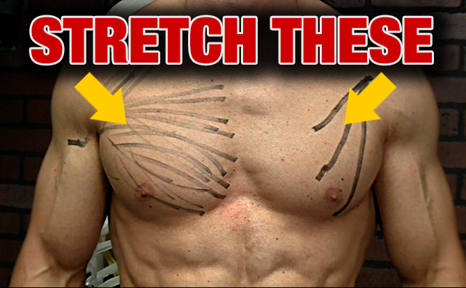 pectoralis major and minor stretches