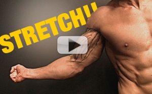 how-to-stretch-your-biceps-for-big-bicep-yt-pl