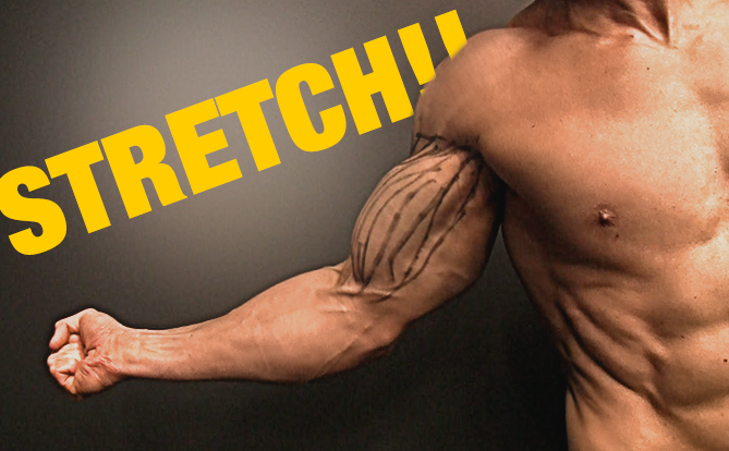 The REAL Way to Stretch Your Biceps FINALLY FEEL IT ATHLEAN X