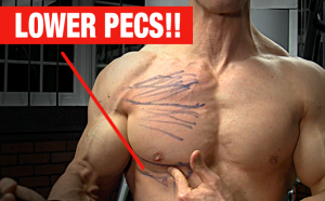 lower-pecs-and-chest-exercise-yt
