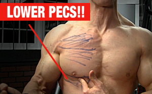 Lower chest exercises online no equipment