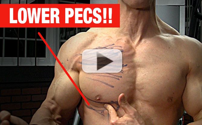 Lower Pec Punishing Exercise (NO MORE SAGGY CHEST!)