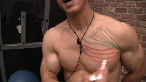 middle chest muscle