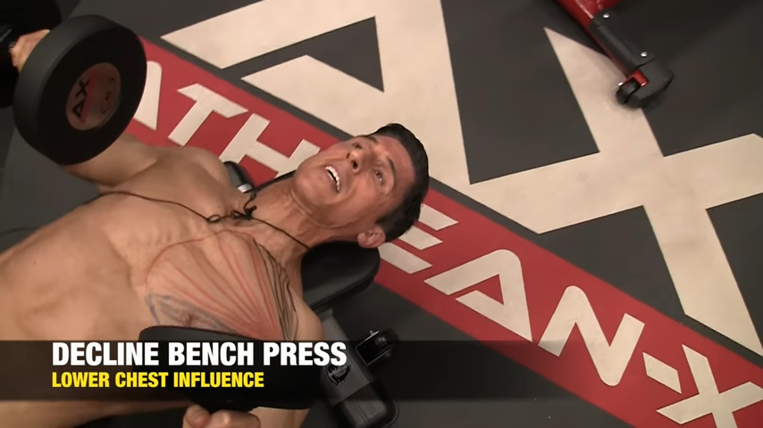 decline bench press favors lower chest