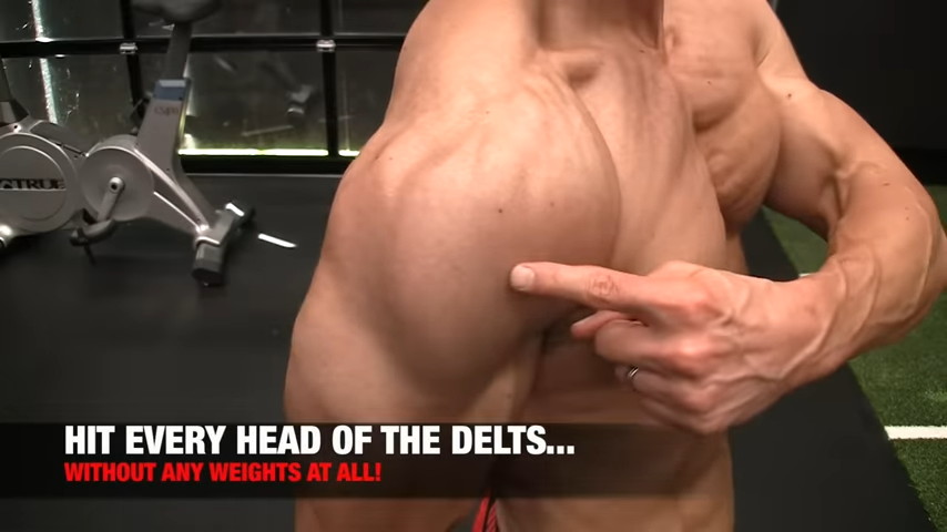 Rear delt 2024 at home workout