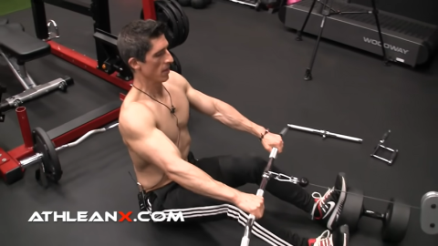 seated rear deltoid rows
