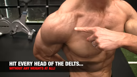 anterior delt