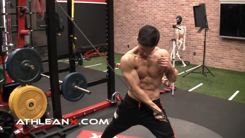 d2 flexion crossover lower chest exercise