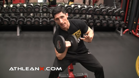 elbow on knee concentration curls
