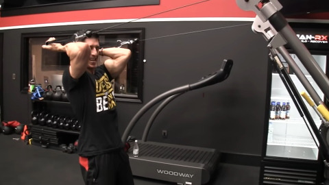 standing cable concentration curls