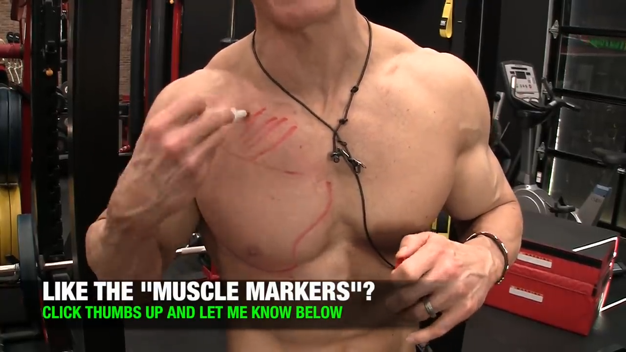 upper chest clavicular fibers pectoral muscle